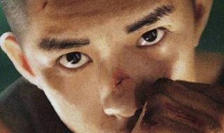 王一博你能同情我吗